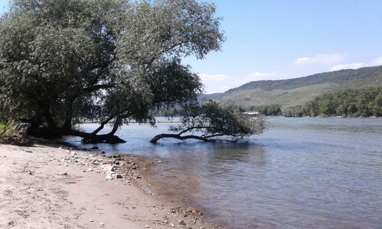 Fewo Batek Trechtingshausen Buitenkant foto